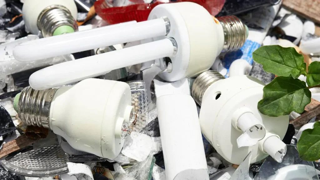 Difficult waste: How to properly dispose of light bulbs. Recycling light bulbs.